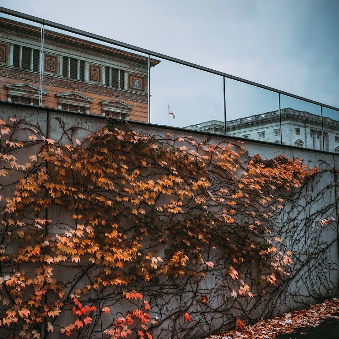 Back of the Topography of Terror - Martin Groupius Bau - Berlin Parliament