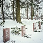 The Socialists Cemetery in Friedrichsfelde
